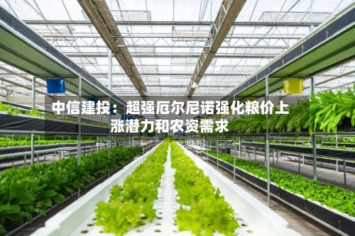 中信建投:超强厄尔尼诺强化粮价上涨潜力和农资需求-第2张图片