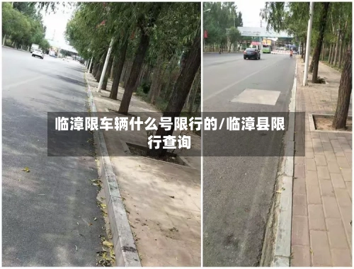 临漳限车辆什么号限行的/临漳县限行查询-第2张图片