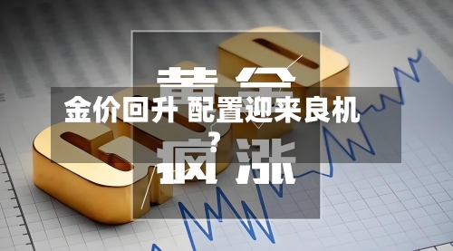 金价回升 配置迎来良机?-第2张图片