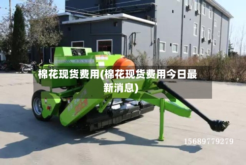 棉花现货费用(棉花现货费用今日最新消息)-第2张图片