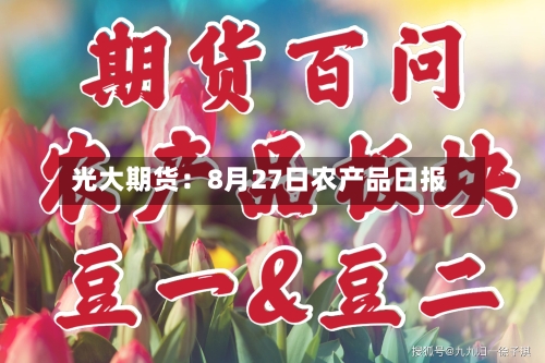 光大期货：8月27日农产品日报-第2张图片
