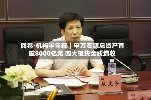 阅卷·机构半年报|申万宏源总资产首破8000亿元 四大板块全线增收-第2张图片