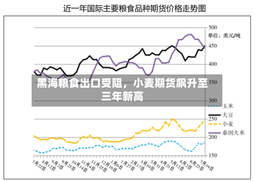 黑海粮食出口受阻，小麦期货飙升至三年新高-第1张图片