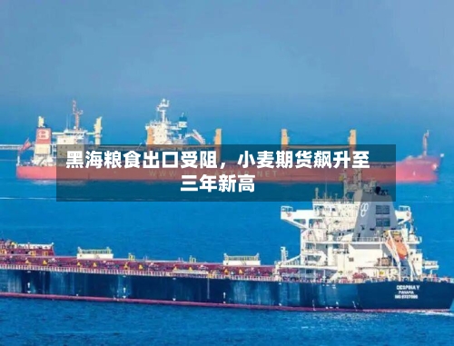 黑海粮食出口受阻	，小麦期货飙升至三年新高-第2张图片