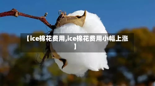 【ice棉花费用,ice棉花费用小幅上涨】