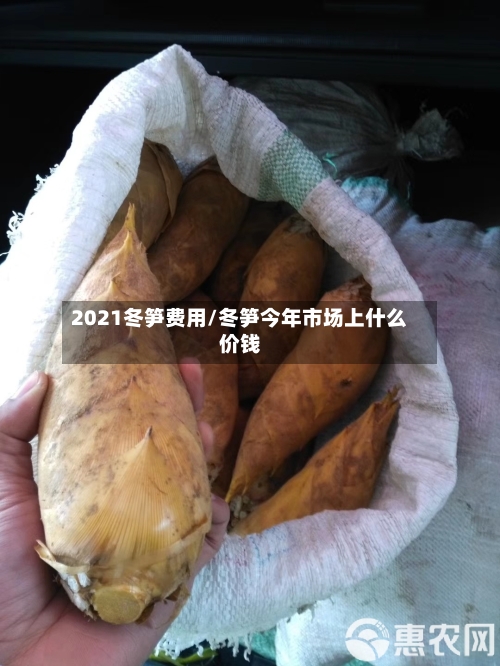 2021冬笋费用/冬笋今年市场上什么价钱