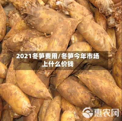 2021冬笋费用/冬笋今年市场上什么价钱-第2张图片