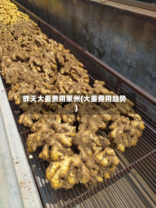昨天大姜费用莱州(大姜费用趋势)-第2张图片