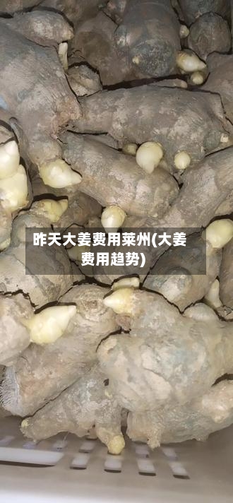 昨天大姜费用莱州(大姜费用趋势)