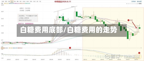 白糖费用底部/白糖费用的走势