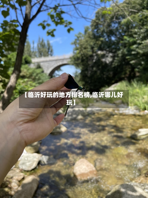 【临沂好玩的地方排名榜,临沂哪儿好玩】