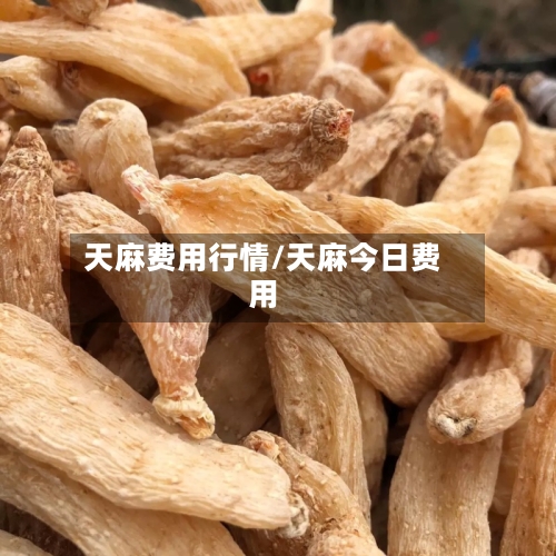天麻费用行情/天麻今日费用-第2张图片