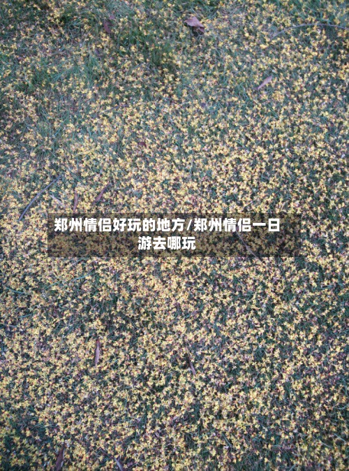 郑州情侣好玩的地方/郑州情侣一日游去哪玩