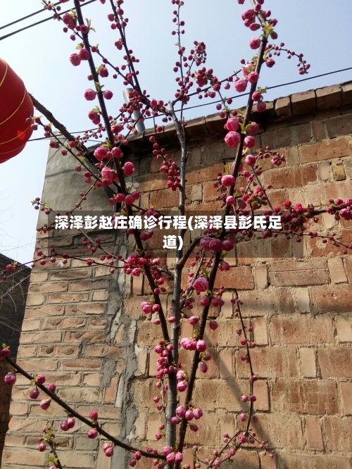 深泽彭赵庄确诊行程(深泽县彭氏足道)-第2张图片