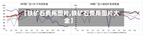 【铁矿石费用图片,铁矿石费用图片大全】