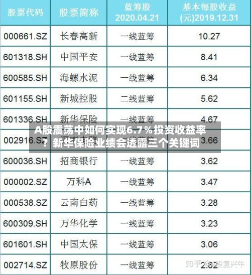 A股震荡中如何实现6.7%投资收益率?新华保险业绩会透露三个关键词-第2张图片