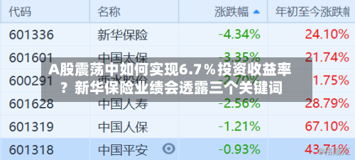 A股震荡中如何实现6.7%投资收益率?新华保险业绩会透露三个关键词-第3张图片