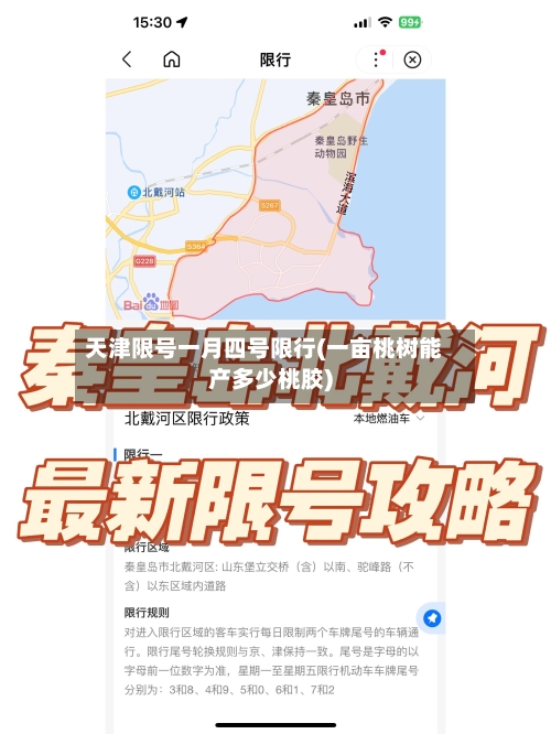 天津限号一月四号限行(一亩桃树能产多少桃胶)