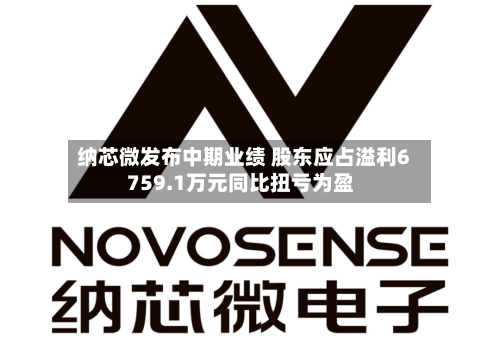 纳芯微发布中期业绩 股东应占溢利6759.1万元同比扭亏为盈-第1张图片