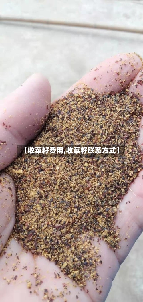 【收菜籽费用,收菜籽联系方式】