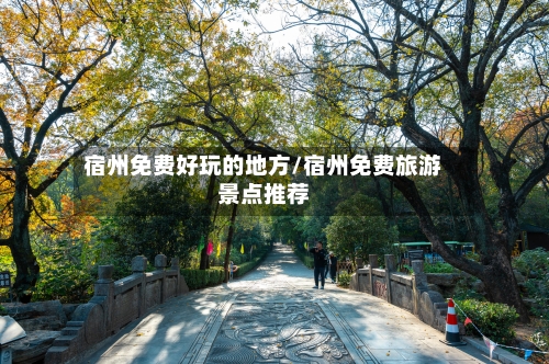 宿州免费好玩的地方/宿州免费旅游景点推荐-第3张图片