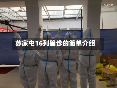 苏家屯16列确诊的简单介绍