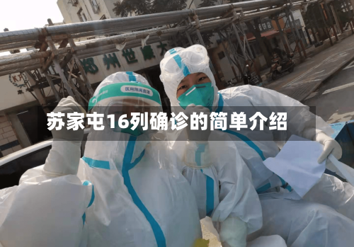 苏家屯16列确诊的简单介绍-第3张图片