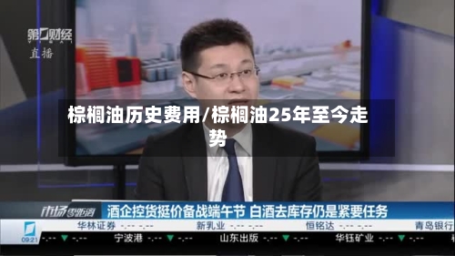 棕榈油历史费用/棕榈油25年至今走势-第2张图片