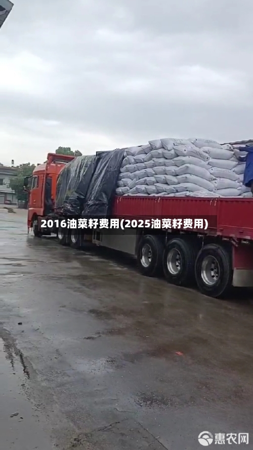 2016油菜籽费用(2025油菜籽费用)