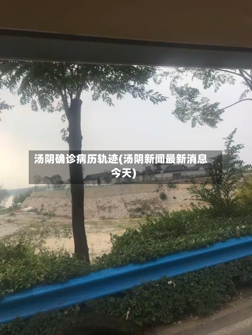 汤阴确诊病历轨迹(汤阴新闻最新消息今天)-第3张图片