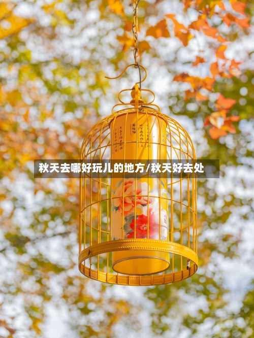 秋天去哪好玩儿的地方/秋天好去处-第2张图片