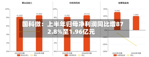 国科微:上半年归母净利润同比增872.8%至1.96亿元-第2张图片
