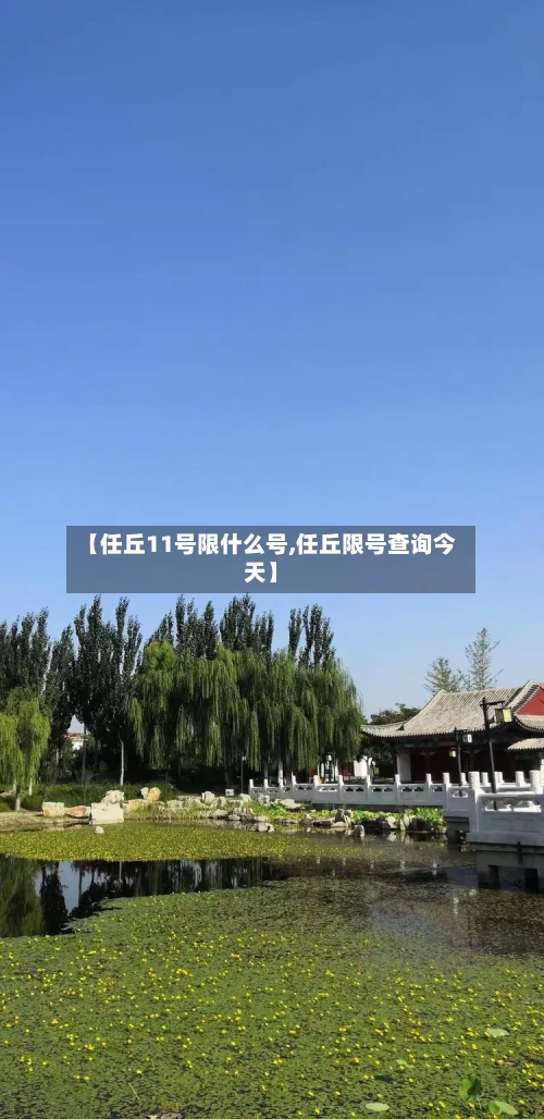 【任丘11号限什么号,任丘限号查询今天】-第3张图片