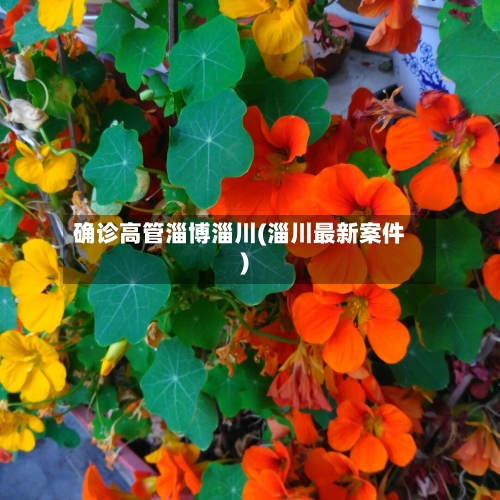 确诊高管淄博淄川(淄川最新案件)