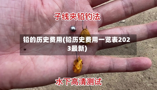 铅的历史费用(铅历史费用一览表2023最新)-第2张图片
