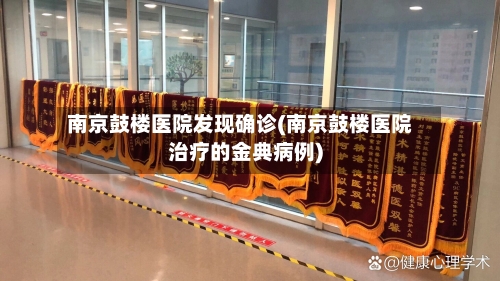 南京鼓楼医院发现确诊(南京鼓楼医院治疗的金典病例)-第2张图片