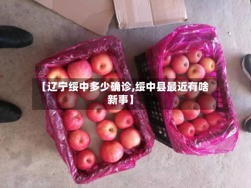 【辽宁绥中多少确诊,绥中县最近有啥新事】