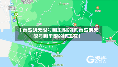 【青岛明天限号哪里限的啊,青岛明天限号哪里限的啊现在】-第3张图片