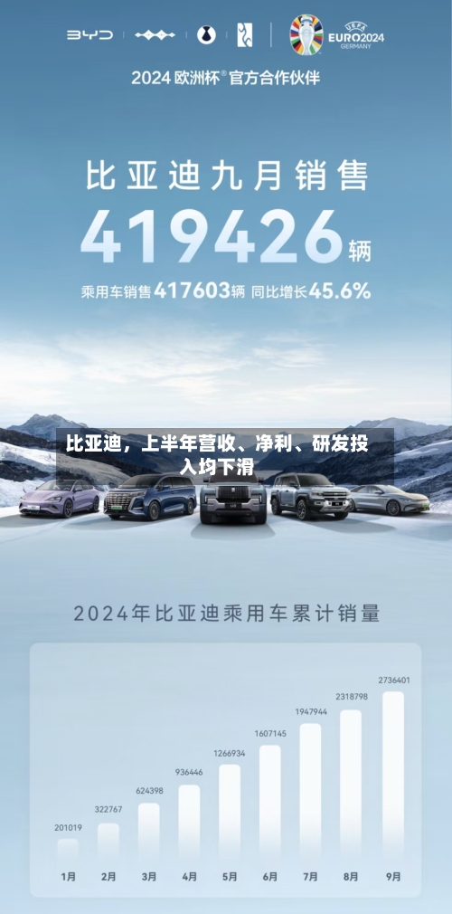 比亚迪，上半年营收	、净利、研发投入均下滑-第2张图片