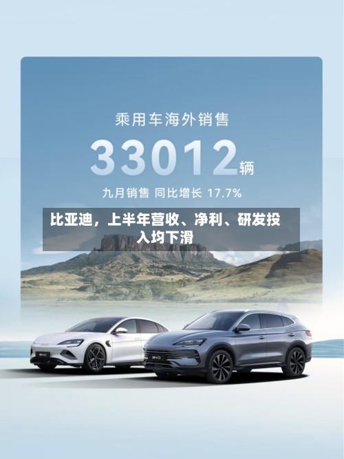 比亚迪	，上半年营收	、净利、研发投入均下滑-第3张图片