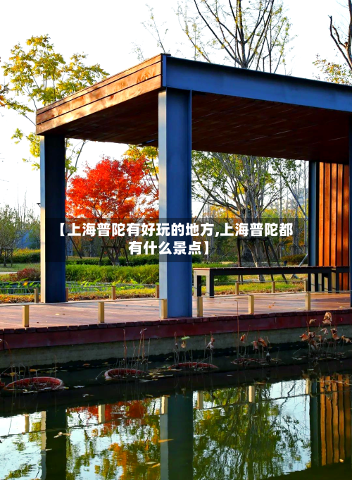 【上海普陀有好玩的地方,上海普陀都有什么景点】-第2张图片