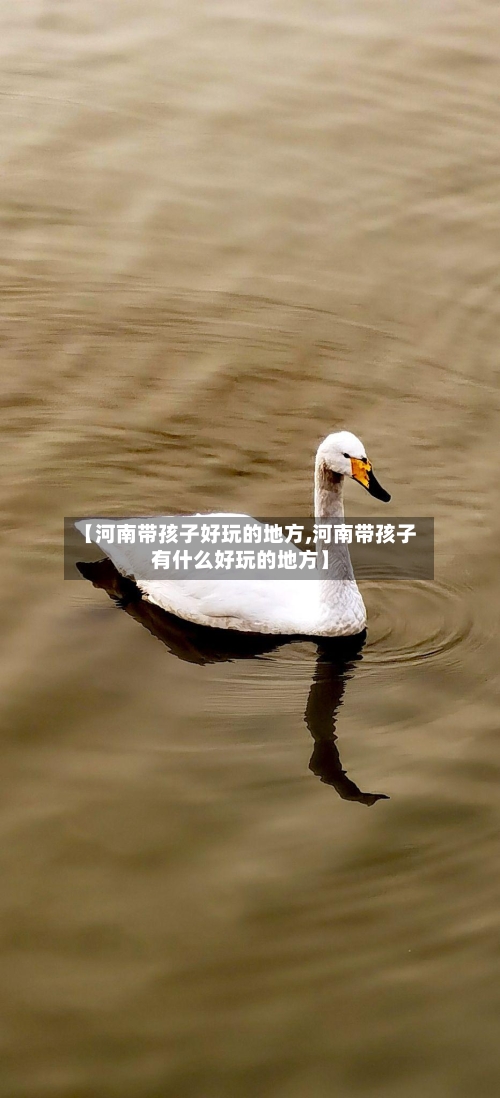 【河南带孩子好玩的地方,河南带孩子有什么好玩的地方】