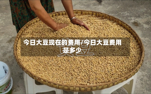 今日大豆现在的费用/今日大豆费用是多少