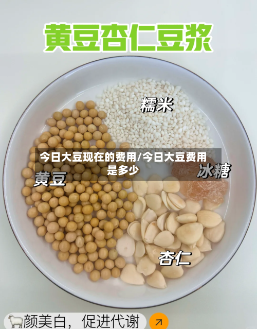 今日大豆现在的费用/今日大豆费用是多少-第2张图片