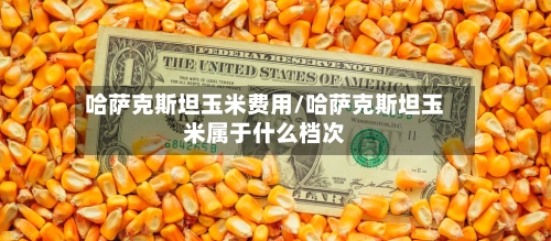 哈萨克斯坦玉米费用/哈萨克斯坦玉米属于什么档次