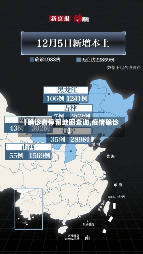 【确诊者停留地图查询,疫情确诊】-第2张图片