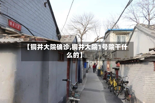 【铜井大院确诊,铜井大院1号院干什么的】-第1张图片
