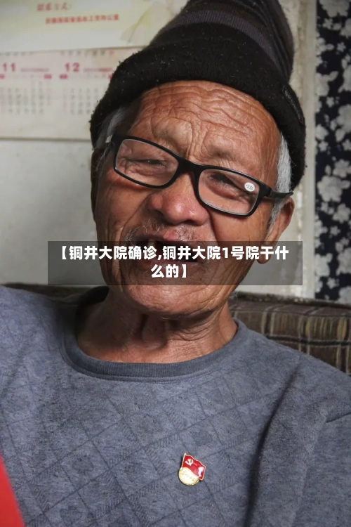 【铜井大院确诊,铜井大院1号院干什么的】-第2张图片