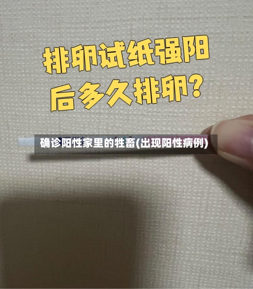 确诊阳性家里的牲畜(出现阳性病例)-第2张图片