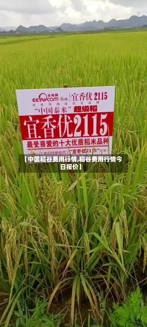 【中国稻谷费用行情,稻谷费用行情今日报价】